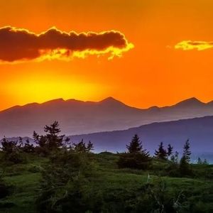 Meet your Posher, Bonnie